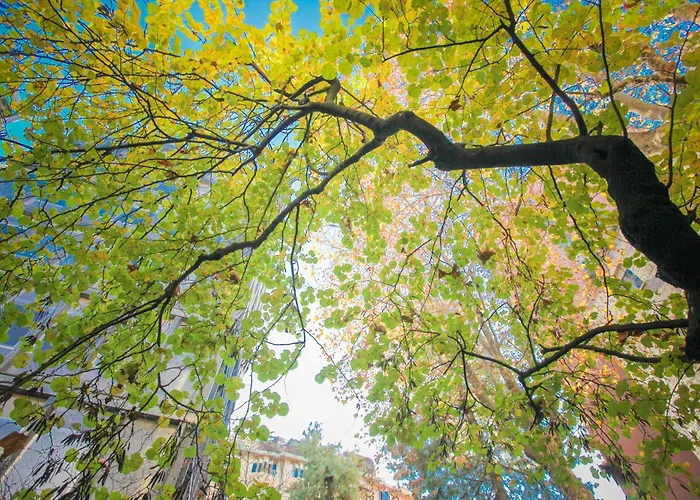 The Grove * 밀라노